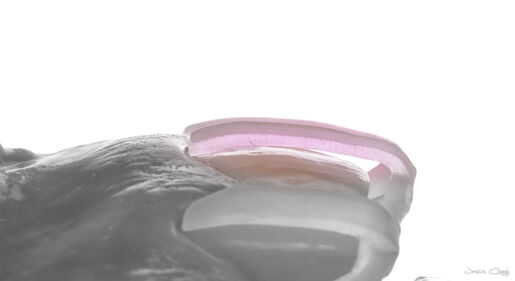 Prep quality control guide